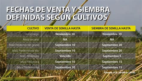 Estas Son Las Fechas Para Venta Y Siembra De Semillas De Arroz Ma Z Y