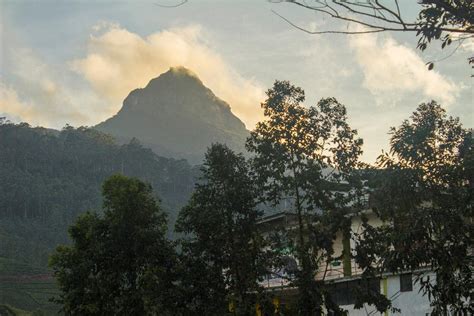 The Ultimate Guide To Climbing Adam S Peak Sri Pada Sri Lanka S Most