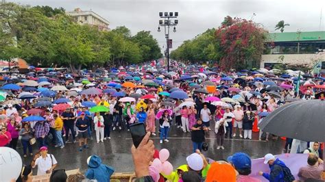 La Jornada Marcha Por La Democracia Se Concentra En El Zócalo