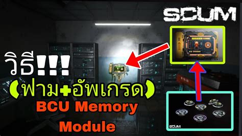 Scum V Bcu Memory Module Scum Gaming