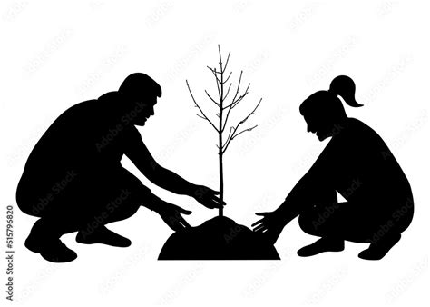 Vetor De Planting Tree Landscaping Man And Woman Plant Tree Seedling Silhouette Vector