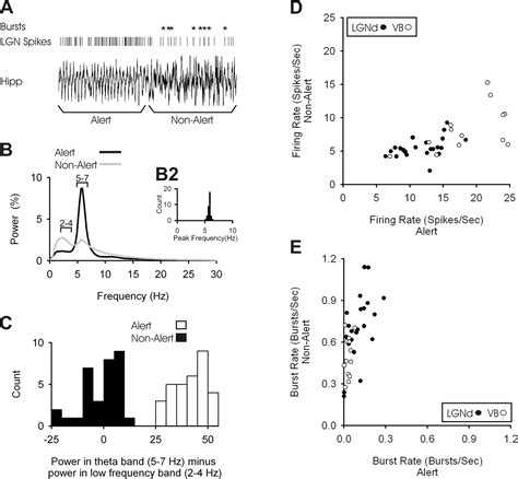 Stability of Thalamocortical Synaptic Transmission across Awake Brain ... 