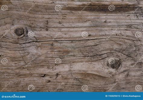 Woody Texture Royalty Free Stock Image 12774136