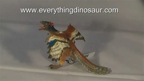 Papo Archaeopteryx Model Reviewed Youtube