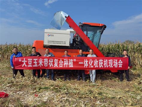 我所研制的大豆玉米复合种植联合收获机亮相全国大豆玉米带状复合种植全程机械化现场演示会