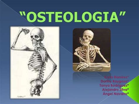 Osteologia