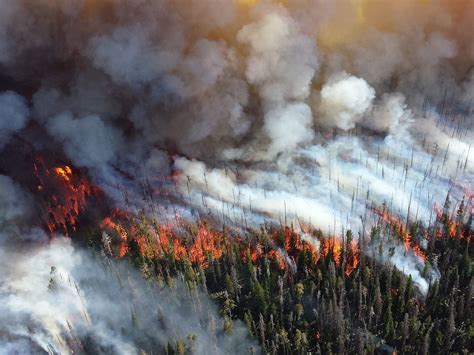 Incendios Forestales Problema Ambiental Que Va En Incremento