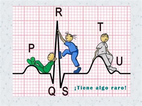 Pr Ctica De Electrocardiograf A Principios Generales Pptx