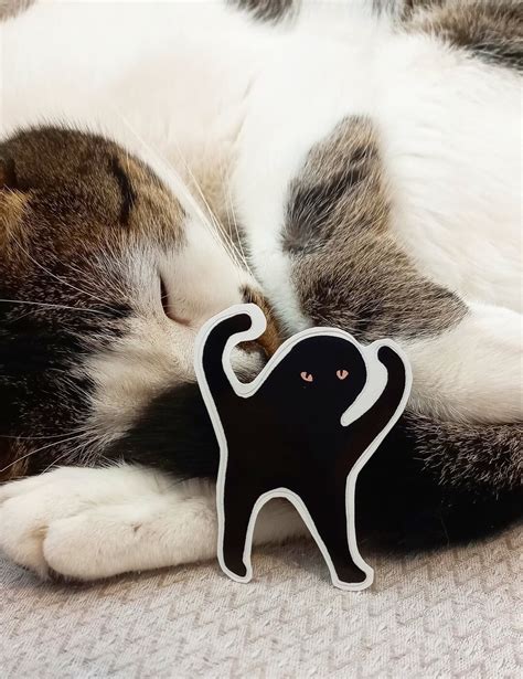 Cursed Black Cat Meme Sticker Funny Cat Meme Sticker - Etsy