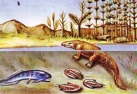 Origen Y Evolución Del Reino Animal Reino Animal