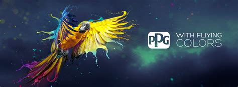 PPG / paints & coatings on Behance