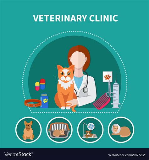 Veterinary Clinic Flat Poster Royalty Free Vector Image