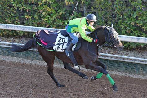 土曜メインレースの注目激走馬中山11rダービー卿チャレンジトロフィー・g3 Umatoku 馬トク