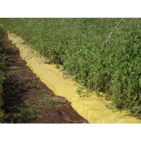 Lldpe Plastic Yellow Black Mulching Film For Farming At Rs