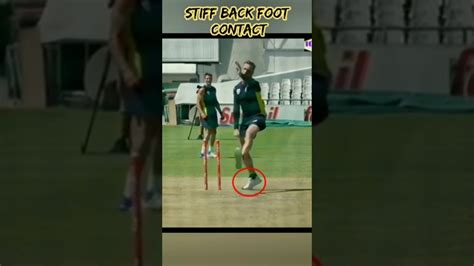 Dale Steyn Bowling Action Steyn Gun Bowling Action Shorts Youtube