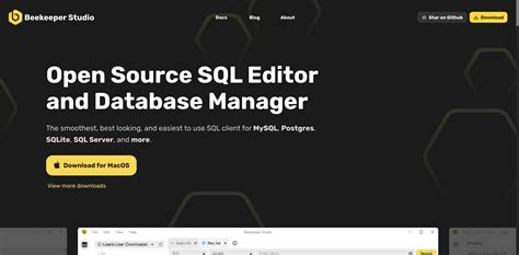 Beekeeper Studio Database Manager Dan SQL Editor Dibuat Dari Vue Js