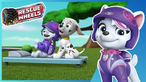 Rescue Wheels Pups Save Adventure Bay Crash Course Youtube