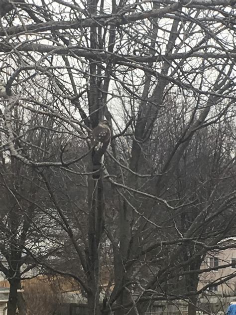 73 Best Nebraska Usa Images On Pholder Earth Porn Pics And Whatsthisbug