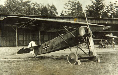 Fokker D VIII Aircraft Investigation WWI Aircraft