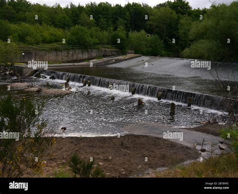 Fish Pass And Weir On The River Derwent Derwent Country Park Swalwell