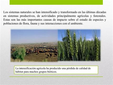 Manejo De La Biodivesidad En Los Agroecosistemas PPT Descarga Gratuita