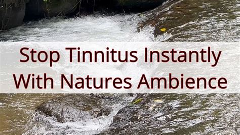 Stop Tinnitus Instantly With Natures Ambience Tinnitus Masking Sound