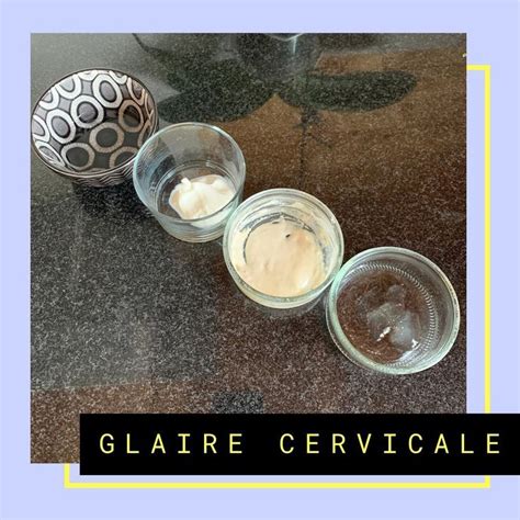 La Glaire Cervicale La Glaire Cervicale Aussi Appel E