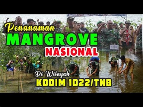 Penanaman Mangrove Nasional Di Wilayah Kodim Tanah Bumbu Youtube