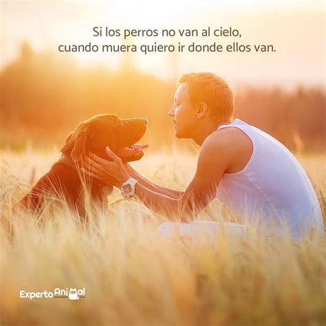 Frases De Perros ¡más De 130 Ideas Para Inspirarte