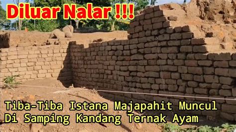 Diluar Nalar Munculnya Istana Kerajaan Majapahit Di Samping Kandang