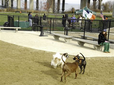 17 Best Dog Parks In New York City