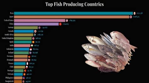 Top Fish Producing Countries In The World 1961 To 2020 Youtube