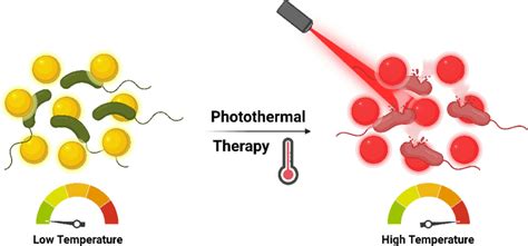 Schematic Illustration Of The Photothermal Antibacterial Pathway Of