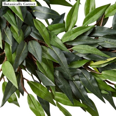 22 Inch Square Artificial Ficus Microphylla Leaf Wreath Indoor Lifelike