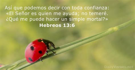 Hebreos 13 6 Versículo De La Biblia