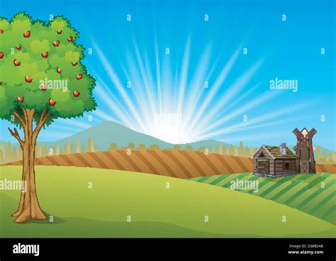 Farm landscape with green field and sunrise Stock Vector Image & Art - Alamy