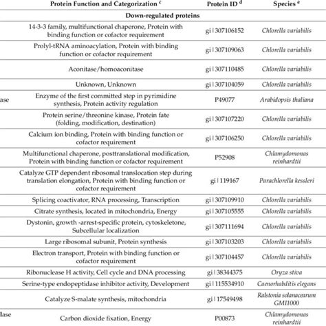 Electron Transfer And Inhibitors Of Respiratory Complexes In Electron