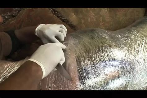 Leenuh Rae Porn Videos Porn Star Sex Scenes XHamster