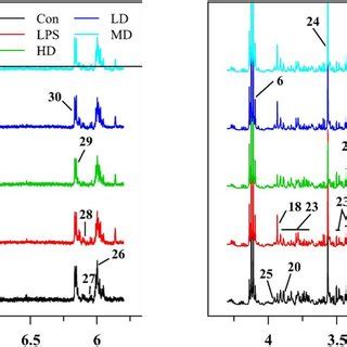 Typical 500 MHz ¹H NMR spectra of RAW 264 7 cells with the metabolites