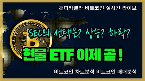 비트코인 실시간 비트 현물etf 이제 곧 내일 알트의 방향성은 110점심💎 비트코인 비트코인실시간 이더리움 리플