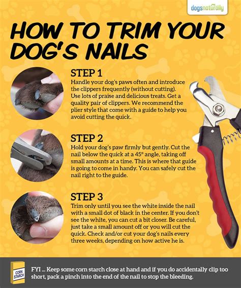 A Stress Free Way For Trimming Your Dogs Toenails Dogs Naturally