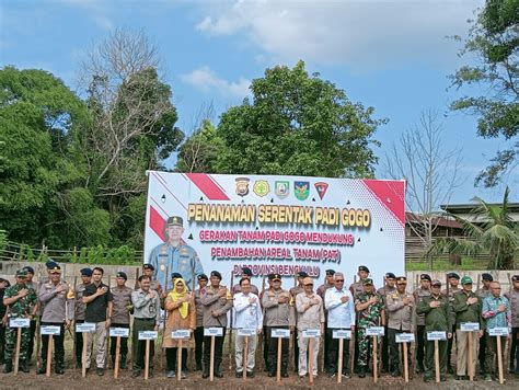 Antisipasi Ini Dan Masuk Zona Merah Polda Dan Pemprov Bengkulu Tanam