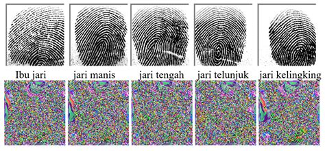 PENGAMANAN CITRA SIDIK JARI MENGGUNAKAN KRIPTOGRAFI DAN STEGANOGRAFI