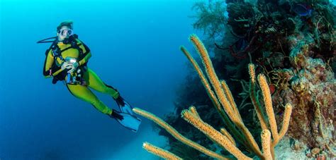 Seminars 2025 Archives - IV Seminars