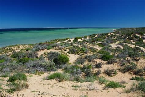 Shark Bay Foto And Bild Australia And Oceania Australia Western