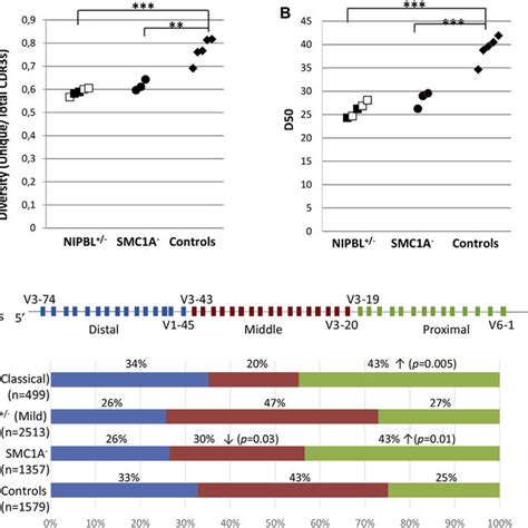 Fig E2 Frequencies Of Individual Ighv Genes In Unproductive Sequences Download Scientific