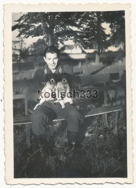 FOTO SOLDAT DER Luftwaffe Mit Zwei Hunde Welpen In Lille Frankreich EUR