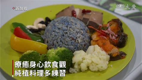 自己動手做 全植物性飲食指南 Youtube