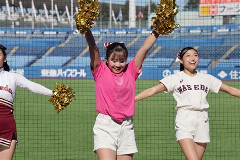 2023秋季「華の早慶戦」第3回戦 ① 写真共有サービス 30days Album