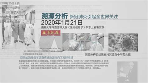 新冠肺炎病毒报纸报刊报道 Ae模板下载 编号 4359896 Ae模板 光厂 Vj师网